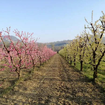 Frühstückspension Verde Valdaso