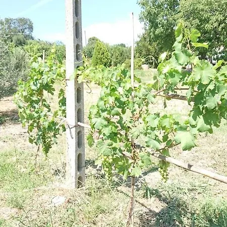 Verde Valdaso Lapedona