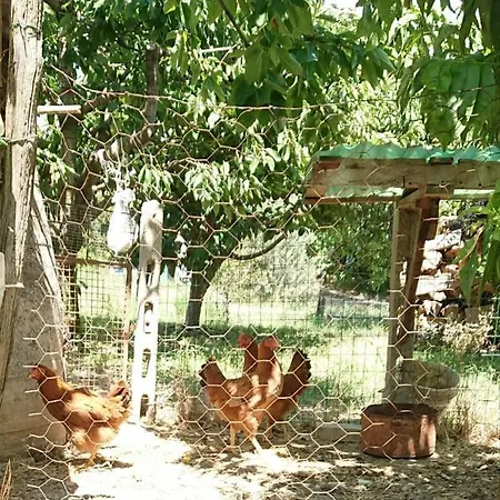 Verde Valdaso *