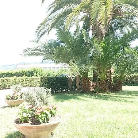 Verde Valdaso